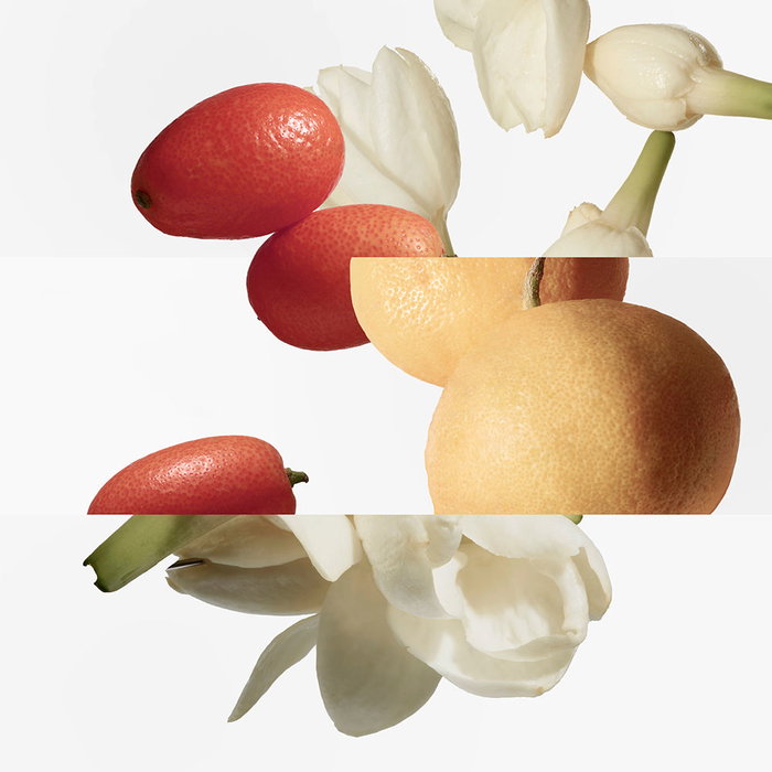 Hermès Le Jardin de Monsieur Li Eau de Toilette Vaporizador 50 ml