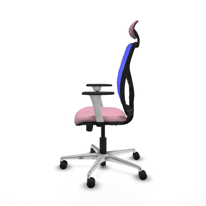 PIQUERAS Y CRESPO Silla de oficina Motilla con mecanismo Sincro/Traslack Rosa y Azul PIQUERAS Y CRESPO Silla de oficina Motilla con mecanismo Sincro/Traslack Rosa y Azul