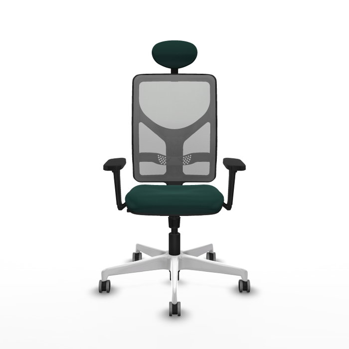PIQUERAS Y CRESPO Silla de oficina Motilla con Mecanismo Sincro, Verde Botella y Gris PIQUERAS Y CRESPO Silla de oficina Motilla con Mecanismo Sincro, Verde Botella y Gris