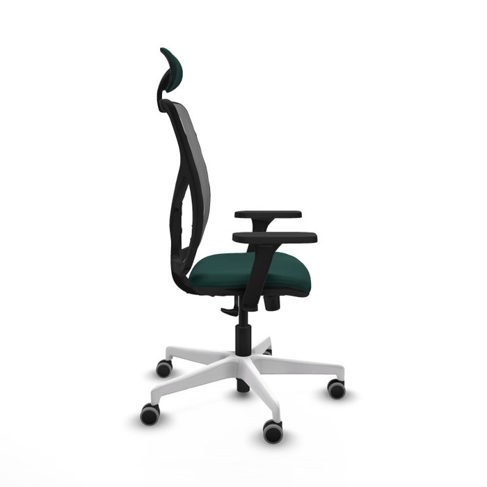 PIQUERAS Y CRESPO Silla de oficina Motilla con Mecanismo Sincro, Verde Botella y Gris PIQUERAS Y CRESPO Silla de oficina Motilla con Mecanismo Sincro, Verde Botella y Gris