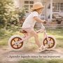 Toimsa Bicicleta sin Pedales Rosa Vintage 10" para Niños de 2 a 3 Años