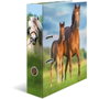 Herma Motiv-Ordner DIN A4 Animales Favoritos (Set de 10)