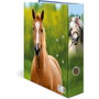 Herma Motiv-Ordner DIN A4 Animales Favoritos (Set de 10)