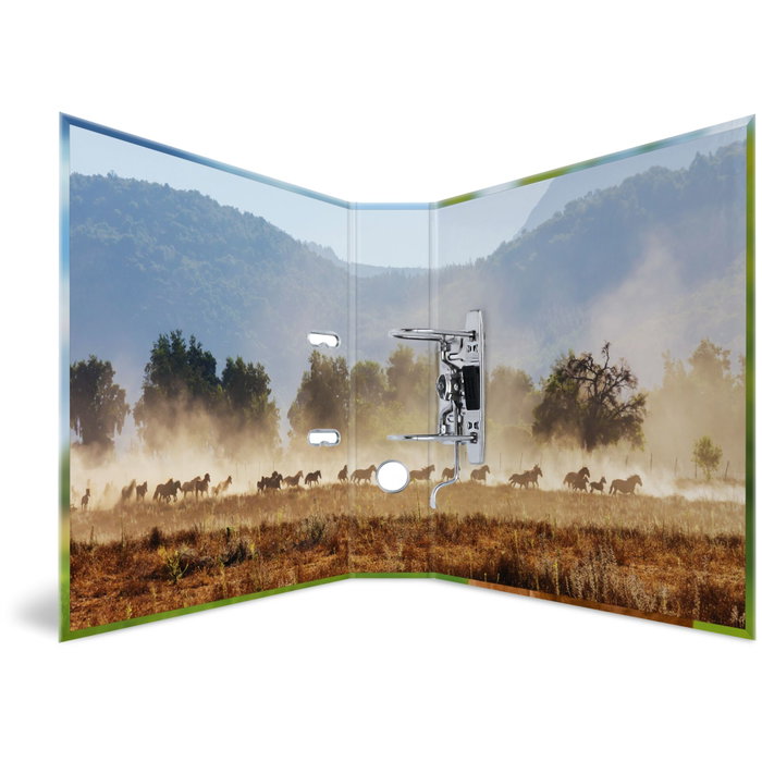 Herma Motiv-Ordner DIN A4 Animales Favoritos (Set de 10)