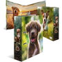 Herma Motiv-Ordner DIN A4 Animales Favoritos (Set de 10)