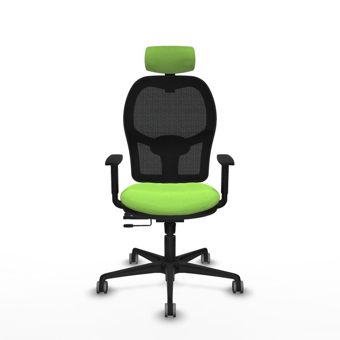 PIQUERAS Y CRESPO Silla de oficina Jorquera con mecanismo Sincro/Traslack, Pistacho y Negro PIQUERAS Y CRESPO Silla de oficina Jorquera con mecanismo Sincro/Traslack, Pistacho y Negro
