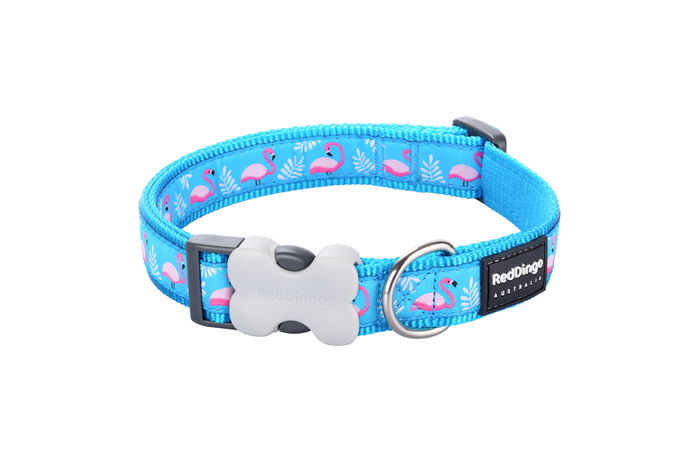 Red Dingo Collar para Perro Flamingo Turquoise Ajustable 15 mm x 24-36 cm