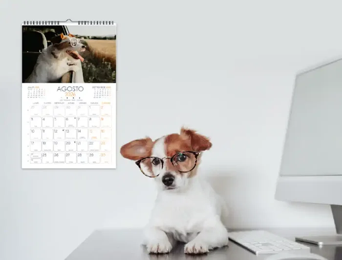Liderpapel Calendario de Pared 2026 con Imágenes de Gatos, Formato Espiral 25x40 cm para Escribir, Papel de 157 g/m²