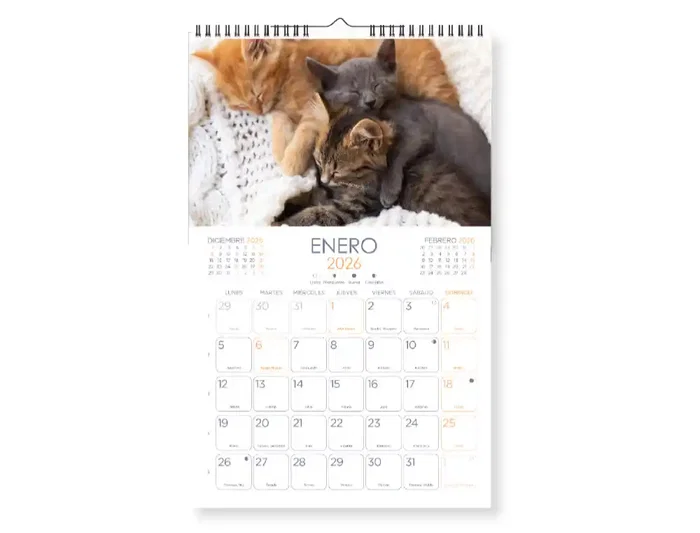Liderpapel Calendario de Pared 2026 con Imágenes de Gatos, Formato Espiral 25x40 cm para Escribir, Papel de 157 g/m²