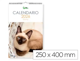 Liderpapel Calendario de Pared 2026 con Imágenes de Gatos, Formato Espiral 25x40 cm para Escribir, Papel de 157 g/m²