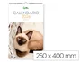 Liderpapel Calendario de Pared 2026 con Imágenes de Gatos, Formato Espiral 25x40 cm para Escribir, Papel de 157 g/m²