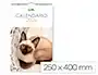 Liderpapel Calendario de Pared 2026 con Imágenes de Gatos, Formato Espiral 25x40 cm para Escribir, Papel de 157 g/m²