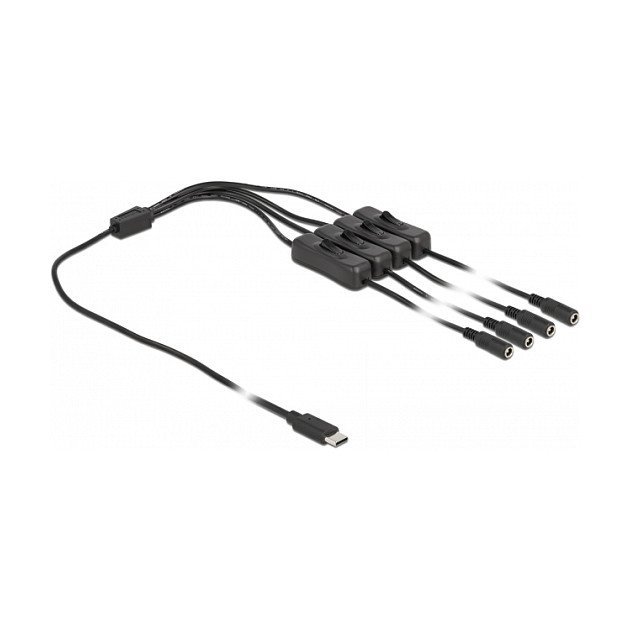 DeLOCK Cable USB Type-C™ a 4 x DC 5,5 x 2,1 mm hembra con interruptor, 1 m