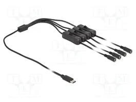 DeLOCK Cable USB Type-C macho a 4 x DC 5,5 x 2,1 mm hembra con interruptor 1 m