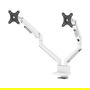 Neomounts DS70-250WH2 Brazo de Monitor 2 Pantallas 17-32" 9kg Blanco