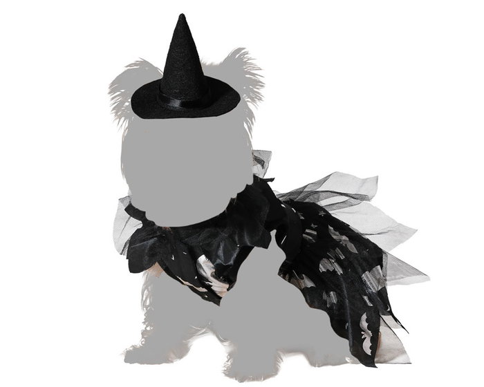 Disfraz Mascota Bruja Halloween Vestido y Sombrero Negro Talla L