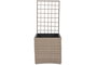 DKD Home Decor Macetero de Ratán Sintético Celosía Natural