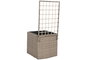 DKD Home Decor Macetero de Ratán Sintético Celosía Natural