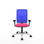 PIQUERAS Y CRESPO Silla de oficina Motilla con mecanismo Sincro, Rosa y Azul