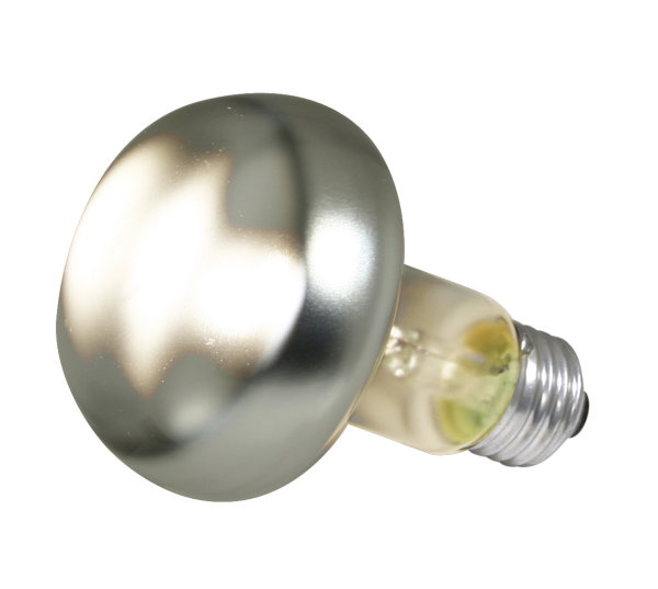 ZooMed Repti Basking Spot Lamp Foco de Calor 100WT ZooMed Repti Basking Spot Lamp Foco de Calor 100WT