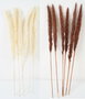 DKD Home Decor Set de 6 Flores Secas con Junco, Surtido de 2, 65 cm