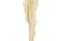 DKD Home Decor Set de 6 Flores Secas con Junco, Surtido de 2, 65 cm