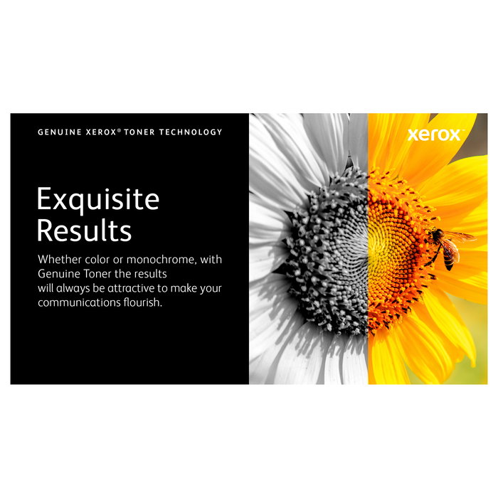 Xerox 106R03757 Cartucho de Tóner Negro Alta Capacidad (10700 páginas) para Impresora VersaLink C7000 Colour