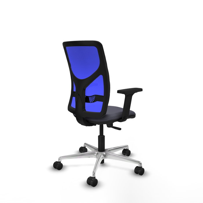 PIQUERAS Y CRESPO Silla de oficina Motilla con mecanismo Sincro, Gris oscuro y Azul PIQUERAS Y CRESPO Silla de oficina Motilla con mecanismo Sincro, Gris oscuro y Azul