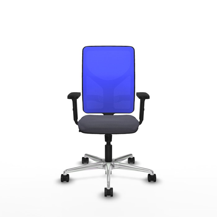 PIQUERAS Y CRESPO Silla de oficina Motilla con mecanismo Sincro, Gris oscuro y Azul PIQUERAS Y CRESPO Silla de oficina Motilla con mecanismo Sincro, Gris oscuro y Azul