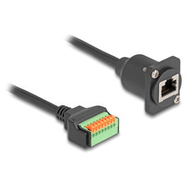 DeLOCK Cable Tipo D RJ45 hembra a Bloque de Terminales con Pulsador Cat.5e Negro 30 cm