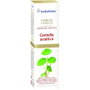 ESENTIAL AROMS Extracto lipídico de Centella Asiática 100 ml