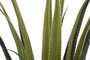 DKD Home Decor Planta Tropical Verde 45 x 45 x 100 cm (2 Unidades)
