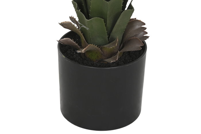DKD Home Decor Planta Tropical Verde 45 x 45 x 100 cm (2 Unidades)