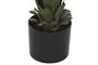 DKD Home Decor Planta Tropical Verde 45 x 45 x 100 cm (2 Unidades)