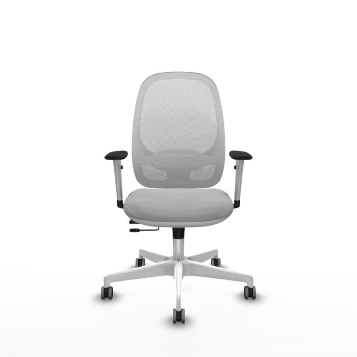 PIQUERAS Y CRESPO Silla de oficina Cilanco con mecanismo Sincro/Traslack, Gris claro y Blanco PIQUERAS Y CRESPO Silla de oficina Cilanco con mecanismo Sincro/Traslack, Gris claro y Blanco