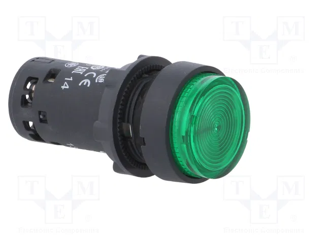 SCHNEIDER ELECTRIC Interruptor de presión Harmony XB7 verde NA