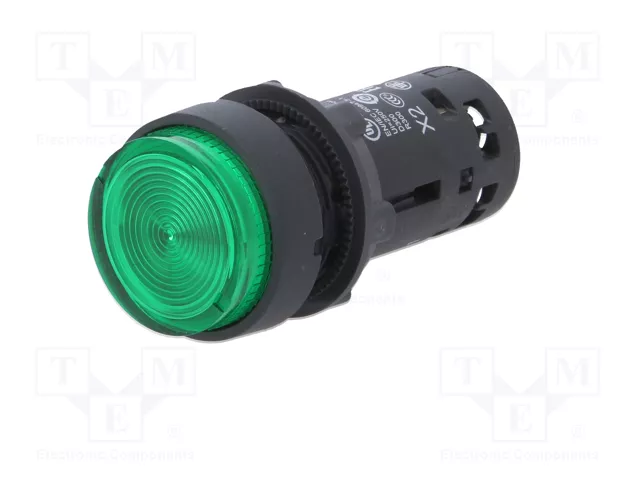 SCHNEIDER ELECTRIC Interruptor de presión Harmony XB7 verde NA
