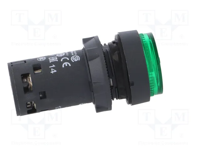 SCHNEIDER ELECTRIC Interruptor de presión Harmony XB7 verde NA