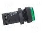 SCHNEIDER ELECTRIC Interruptor de presión Harmony XB7 verde NA
