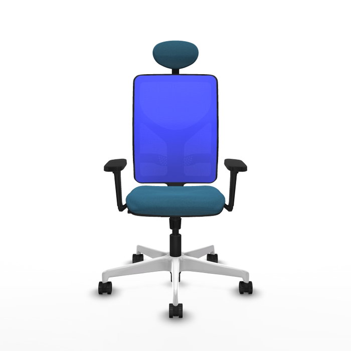 PIQUERAS Y CRESPO Silla de oficina Motilla con Mecanismo Sincro, Verde petróleo y Azul