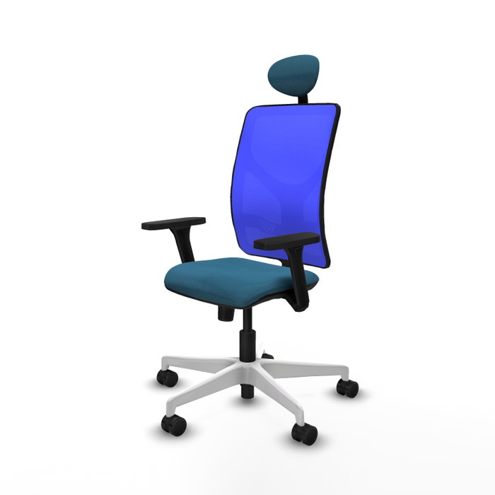 PIQUERAS Y CRESPO Silla de oficina Motilla con Mecanismo Sincro, Verde petróleo y Azul