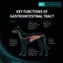 Purina Pro Plan Veterinary Diet Canine EN Gastrointestinal 12kg