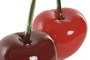 DKD Home Decor Figura de Cereza en Resina, Pack de 6