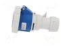 PAWBOL Enchufe Hembra 32A 400VAC IP67 3 Pines