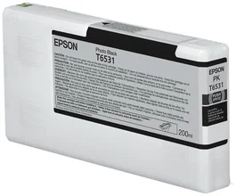 Epson Cartucho T6531 Negro Foto