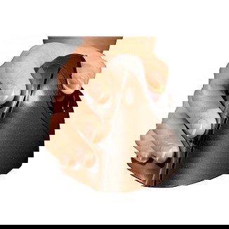 Evoluent BakkerElkhuizen4 Ratón Ergonómico Vertical Inalámbrico Mano Derecha 2600 DPI Negro Marrón