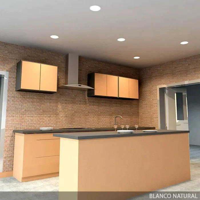 BX3 Placa LED Circular 12W 860Lm 4200K 40000H Empotrable o Superficie para Interior BX3-RDP09-12W-W BX3 Placa LED Circular 12W 860Lm 4200K 40000H Empotrable o Superficie para Interior BX3-RDP09-12W-W