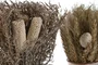 DKD Home Decor Set de 2 Plantas de Flor Seca (13x13x25 cm)