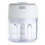 Day Mini Picadora 30W con 3 Velocidades y Recipiente de 250ml