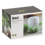 Day Mini Picadora 30W con 3 Velocidades y Recipiente de 250ml